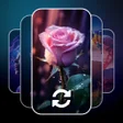 Ikona programu: Auto Wallpaper Changer 4K…