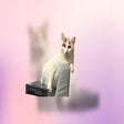 Icoon van programma: Screen Saver