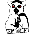 Иконка программы: Збагойный Переводчик