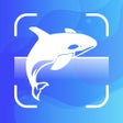 Ícone do programa: Fish Identifier - Fish Ve…