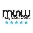 Ícone do programa: MSW Surf Forecast