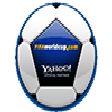 程序图标：FIFAworldcup.com Widget
