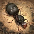 Ikona programu: The Ants: Underground Kin…
