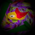 程序图标:Trippy Bird Extreme