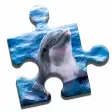 Dolphin Love Puzzle