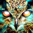 Programikonen: Spirit Animal Oracle Card…