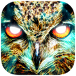 Icoon van programma: Spirit Animal Oracle Card…