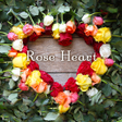 Иконка программы: Rose Heart Theme HOME