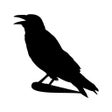 Ícone do programa: CrowsNest Card Game