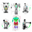 程序图标：Bodybuilding Fitness Exer…