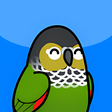 Programın simgesi: Too Many Birds