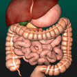 プログラムのアイコン：Internal Organs in 3D Ana…