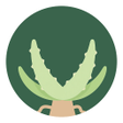프로그램 아이콘: Aloe Bud