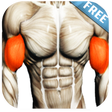 プログラムのアイコン：Biceps Workout