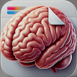 Icône du programme : Effortless Learning