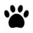 أيقونة البرنامج: Privacy Crawler