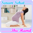 プログラムのアイコン：Senam Ibu Hamil