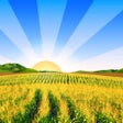 Icoon van programma: Pesticide and Field Recor…