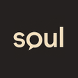 Ikon program: DigitalSoul - AI Chat Rol…
