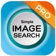 Simple Search by image pro