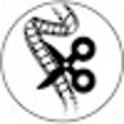 程序图标：StutterBuddy extension