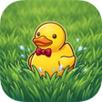 プログラムのアイコン：Ducky Slide Match