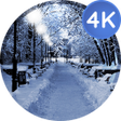 Icoon van programma: Winter wallpapers