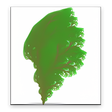程序图标：L-Systems Explorer - Free