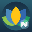 プログラムのアイコン：N Theme - Flat Icon Pack