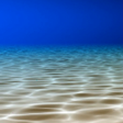 程序图标：Under the Sea Live Wallpa…