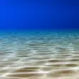 Under the Sea Live Wallpaper