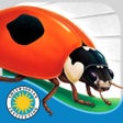 程序图标：Ladybug at Orchard Avenue