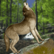 Ícone do programa: Wild Wolf Simulator Wolf …