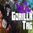 Icon of program: Gorilla Tag