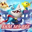 程序图标：SKM M9 888
