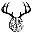 Ícone do programa: DeerBrain