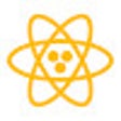 Icon of program: React Stores Devtools Ext…