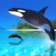 程序图标：Whale Live Wallpaper