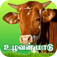 Icon of program: Uzhavan Maadu - உழவன் மாட…