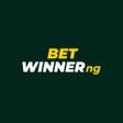 程序图标：BetWinner: Sport  Casino