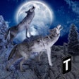 程序图标：Angry Wolf Simulator 3D