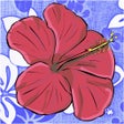 ไอคอนของโปรแกรม: Hawaiian Words Dictionary