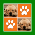 Cute Dogs Memory Match Game - Card Pairs