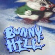 프로그램 아이콘: Bunny Hill