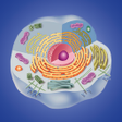 プログラムのアイコン：Cell biology