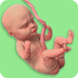 プログラムのアイコン：Mom Pregnancy Games: Mom …