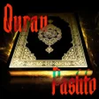 プログラムのアイコン：Quran for Pashto AUDIO