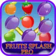 Fruits Splash Pro
