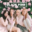 Wallpapers for Blackpink