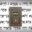Icon of program: Tehillim Ohel Yosef Yitzc…